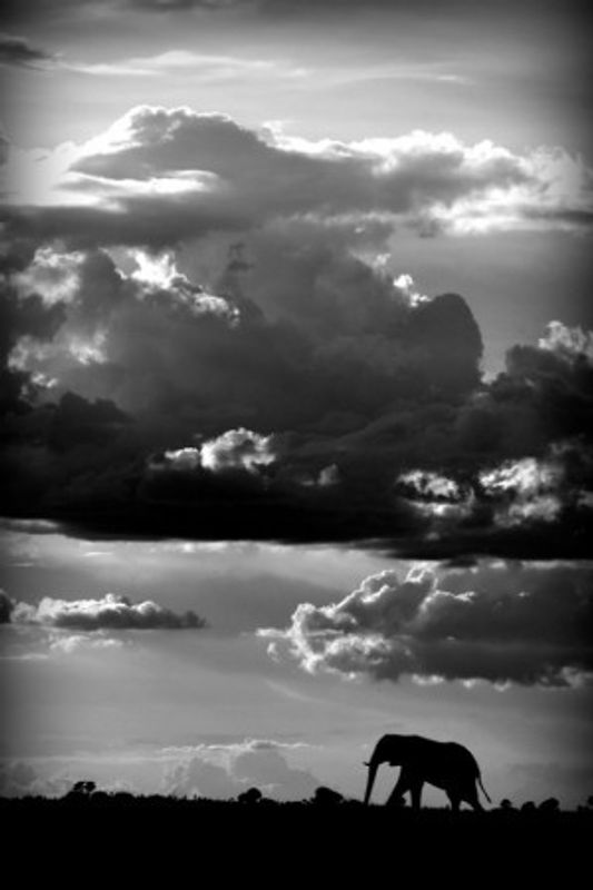 He walks under an African Sky