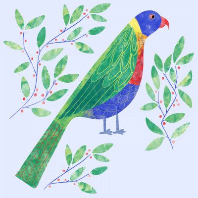 Vibrant Parrot Scene