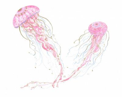 Pink Jellyfish