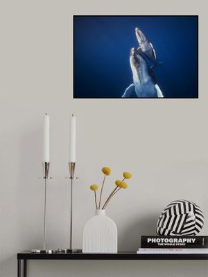 Come back to the surface