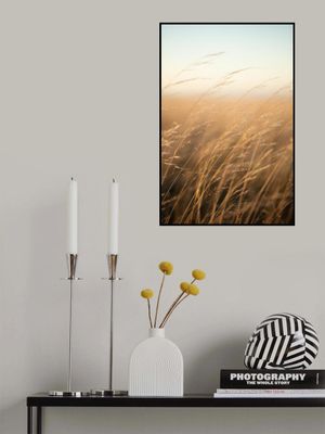 Golden Prairie Grass