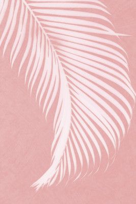 Palm Leaves On Pink Silhouette I