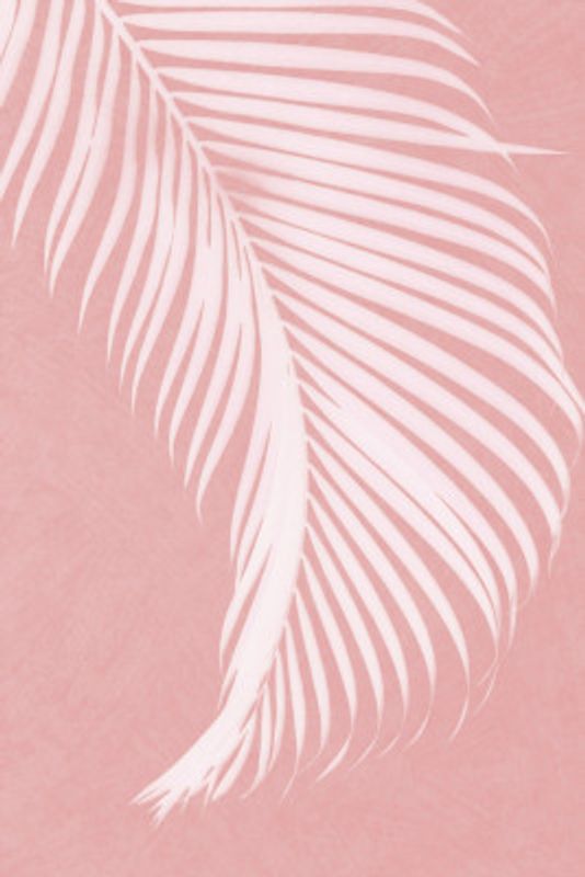 Palm Leaves On Pink Silhouette I