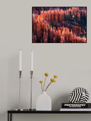 Bryce Canyon at Sunset