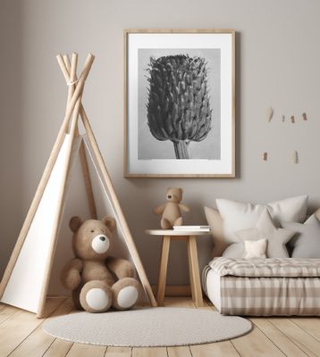 Cirsium Canum (Thistle)