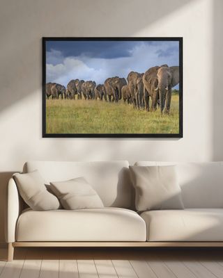 The Land Of The Giants