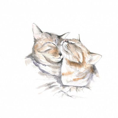 Sweetly Sleeping Cats