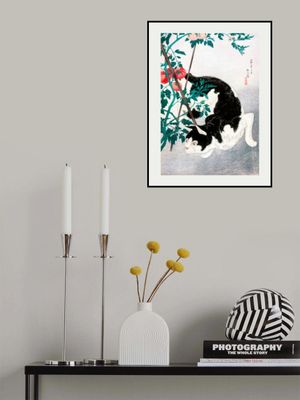 Cat With Tomato Plant (1931)