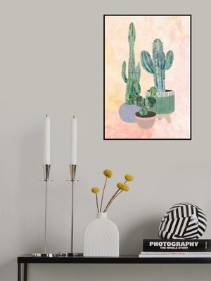 Boho Cactus Trio