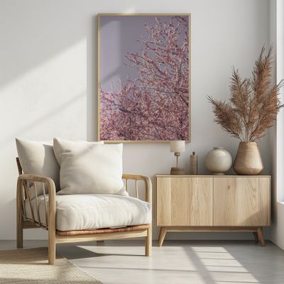 Pink Cherry Blossoms
