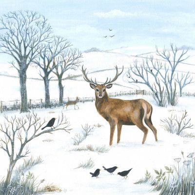 Winter Stag