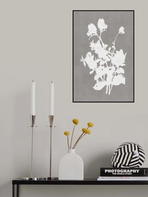 Botanical Illustration 3