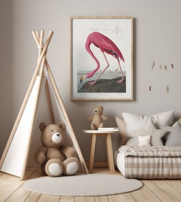 Pink Flamingo From Birds of America (1827)