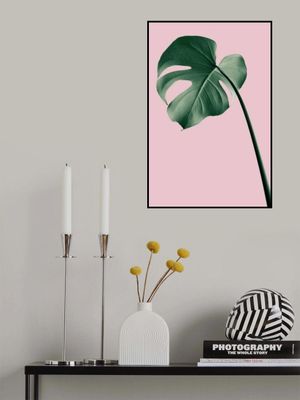 Monstera Pink No 05