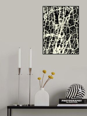 Black and White Crackle Texture