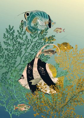 coral reef deep silence teal