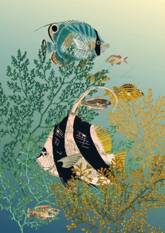 coral reef deep silence teal