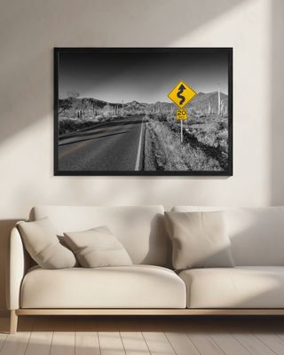 SAGUARO NATIONAL PARK Bajada Loop Drive