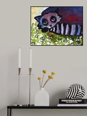 Raccoon In Clover Patch