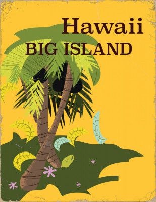 Hawaii Big Island Vintage Travel Poster