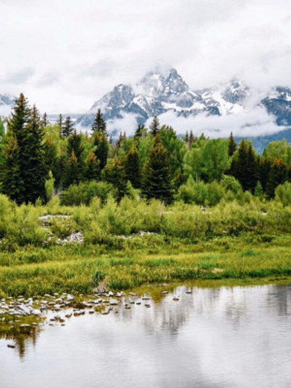 Schwabacher Landing Mist