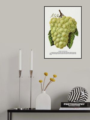 Green Mountain Grape Lithograph