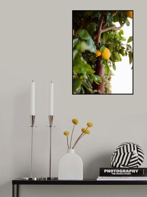 Amalfi Coast Lemons VI on Film