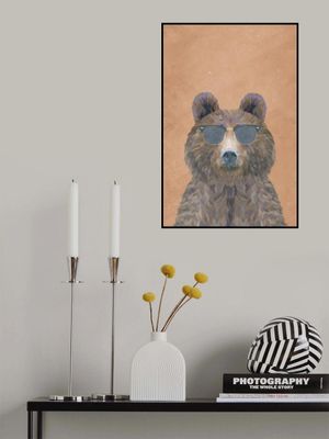 Cool Bear Portrait