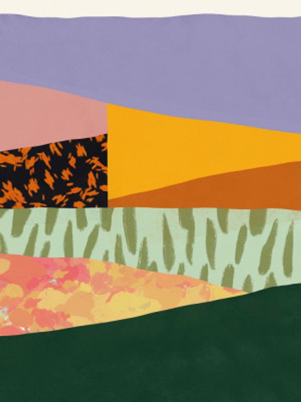 Geometric Patterns with Organic Forms