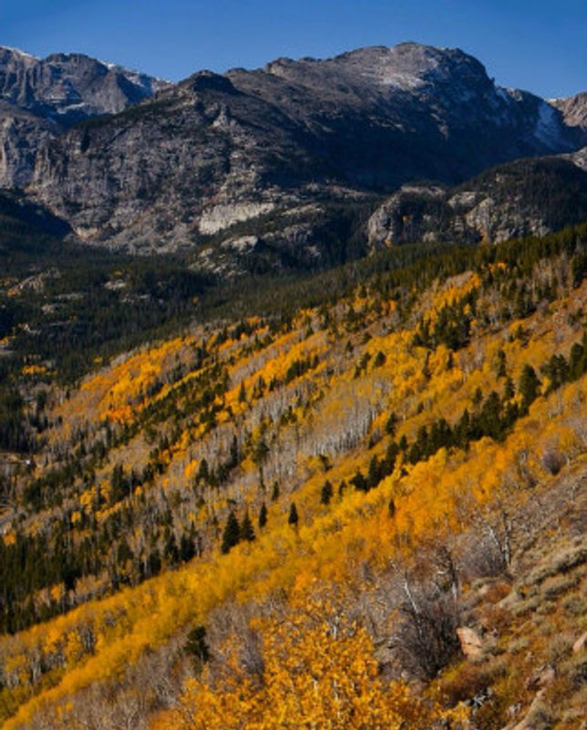 Autumn in the Rockies II