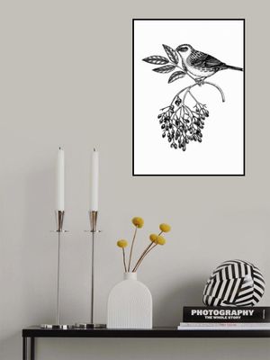 Wildlife Poster - Bird on elderberry branch in vinatge style