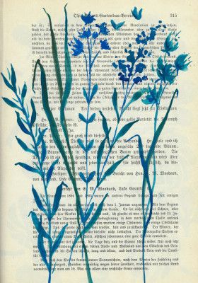 Denim blue sketch with wild grasses