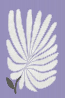 White Chrysanthemum Flower