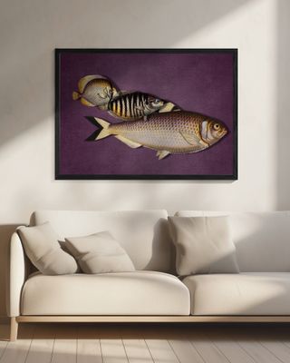 3 Fish - the Purple Edition