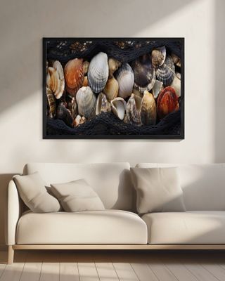Seashell Tapestry