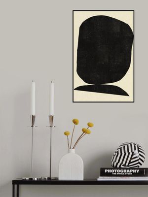 Shadowed Abstraction