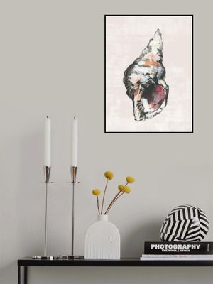 Shell Collector Art Print No 2