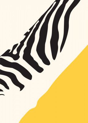 Zebra Abstract Pattern
