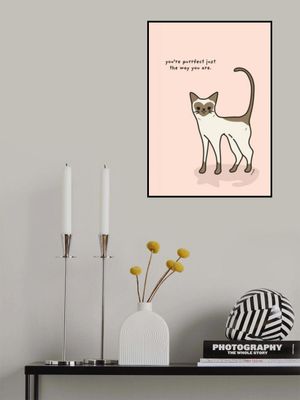 You're purrfect just the way you are