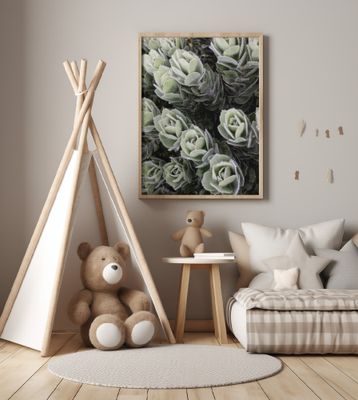 Green Succulents Showcases