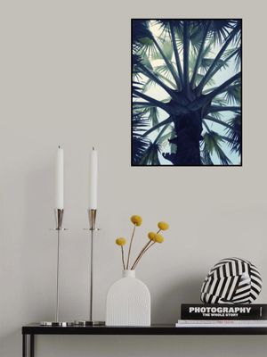 Tropical Tranquillity