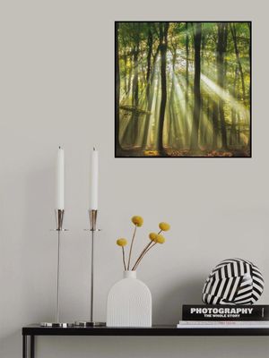 Sunny start to the day ........