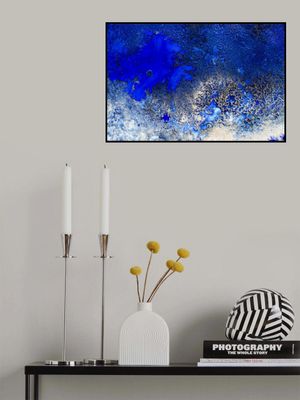 Ocean Best Sellers - Sunlit Reef