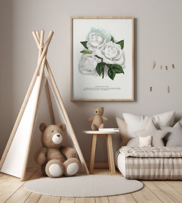 White Rose, Coquette Des Alps Lithograph