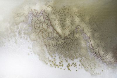 Neutral Tones - Earth Song