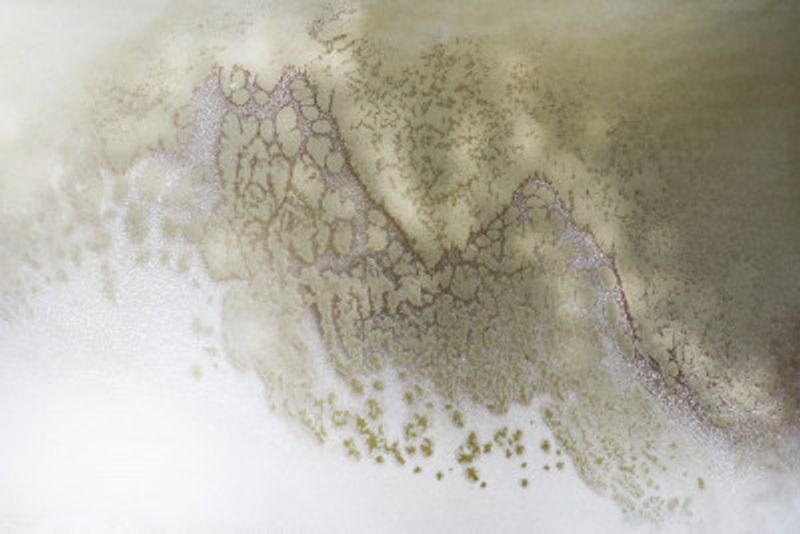 Neutral Tones - Earth Song