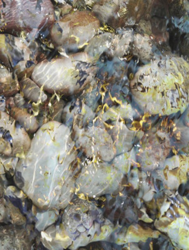 The Light Pours Out of Me