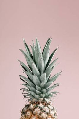 Pineapple Pink 01