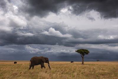African sky