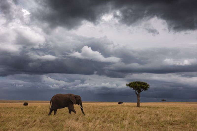 African sky